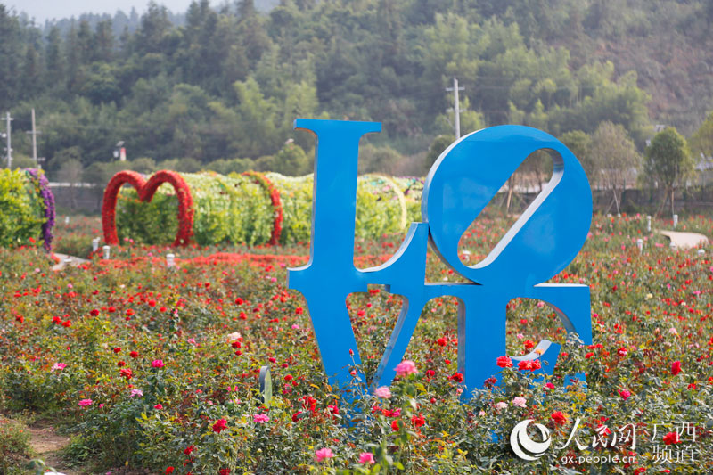 Manto de flores outonais reveste vila em Guangxi