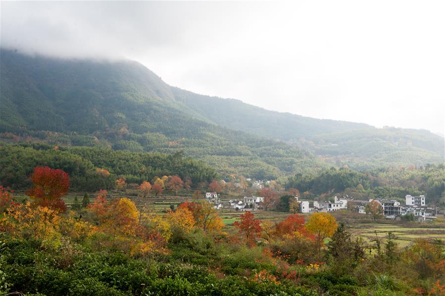 Cenário da vila de Tachuan em Huangshan no leste da China