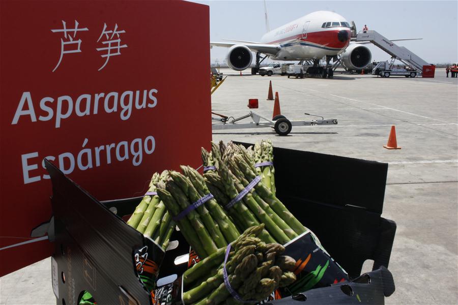 Avião cargueiro começa a transportar produtos peruanos para China