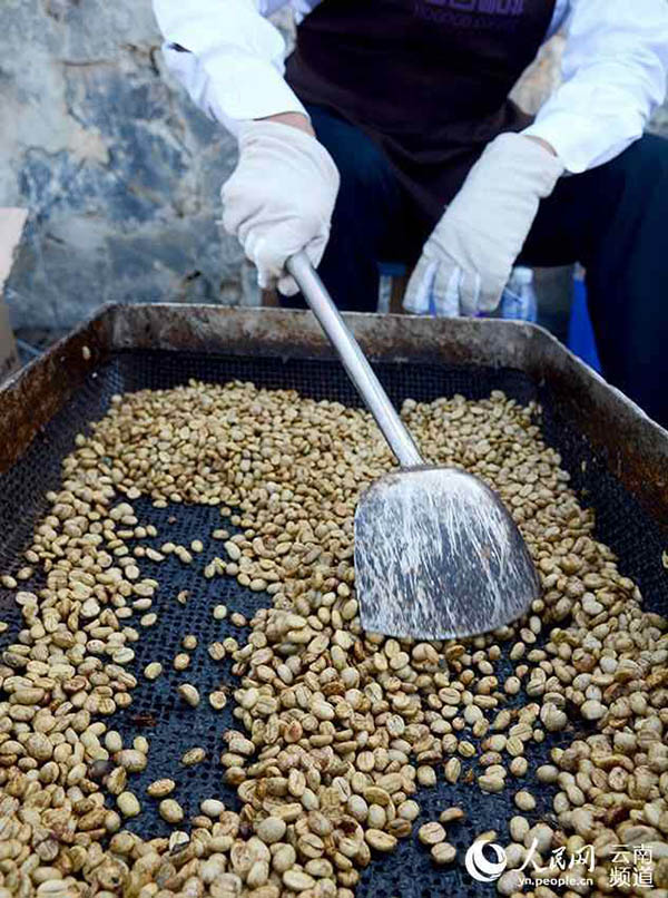 Café “primeiro beijo” na província de Yunnan