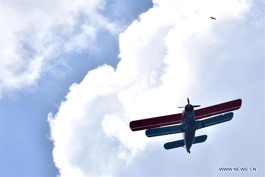 Vintage Air Rally realizado no Parque Nacional de Nairobi no Quénia