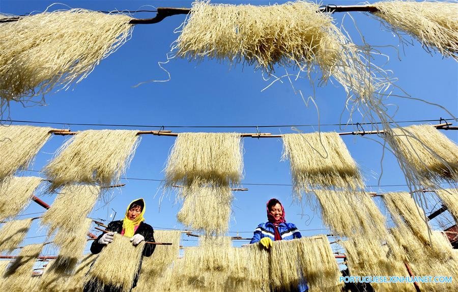 Governo de Shandong ajuda agricultores a desenvolver projetos agrícolas