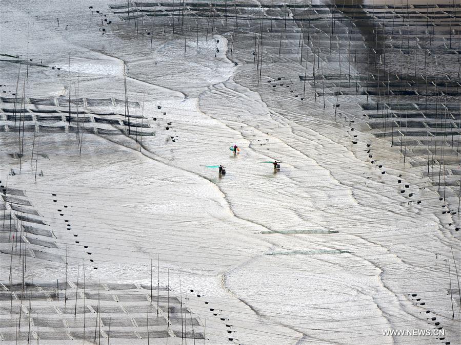 Cenário da vila de Sansha no sudeste da China