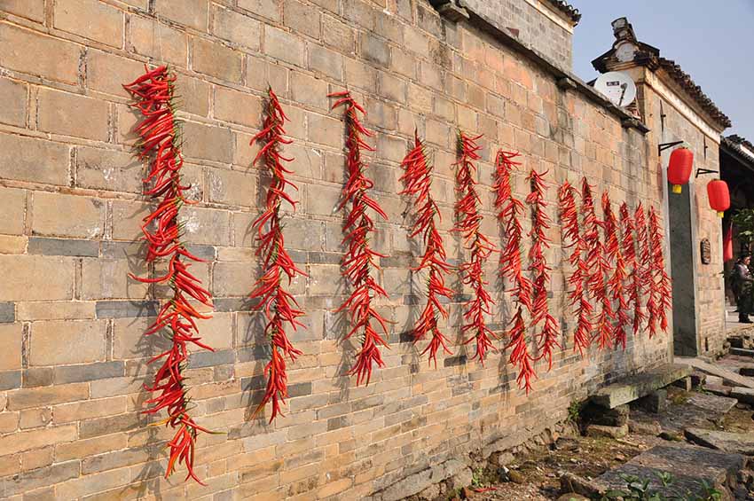 Jornalistas estrangeiros em visita à aldeia histórica de Zhuqiao