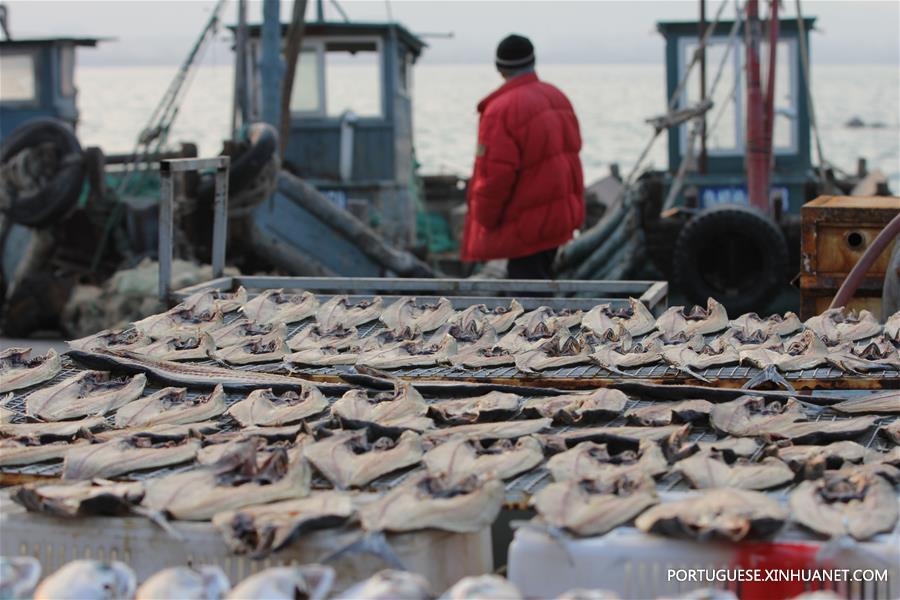 Peixes secos no porto de Gangdong de Shandong