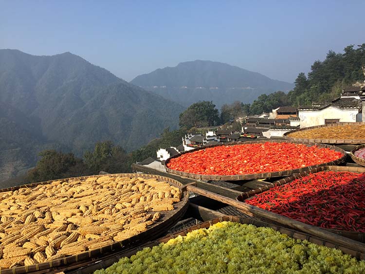 Wuyuan, um poço de beleza idílica no coração da província de Jiangxi