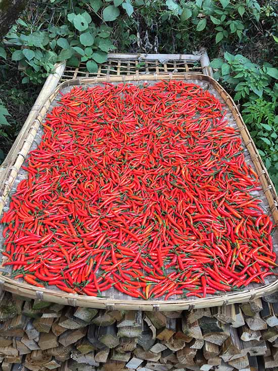 Wuyuan, um poço de beleza idílica no coração da província de Jiangxi