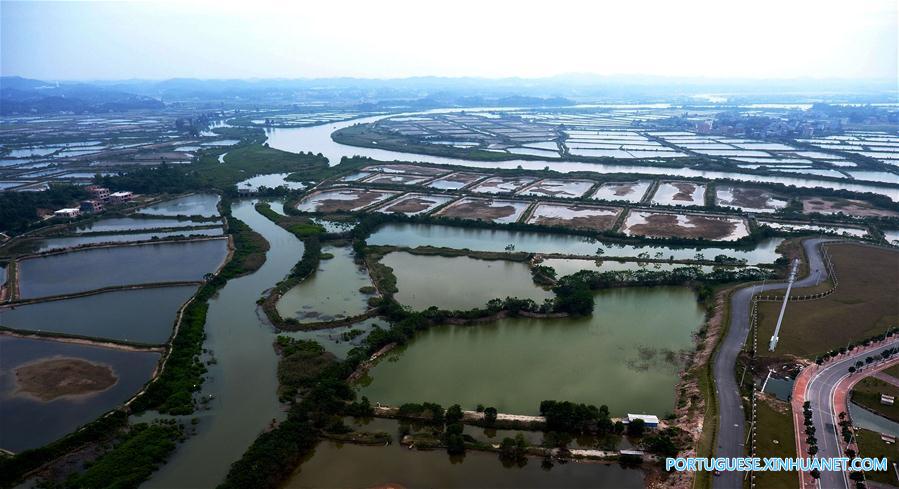 Viveiros de camarão ao longo do rio Qinjiang no sul da China