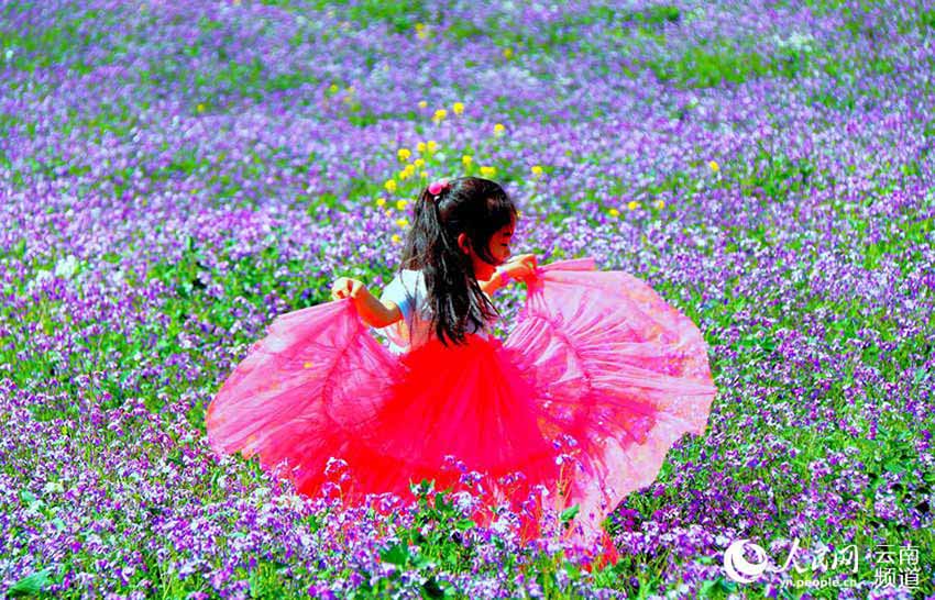 Fotógrafos estrangeiros capturam beleza da 