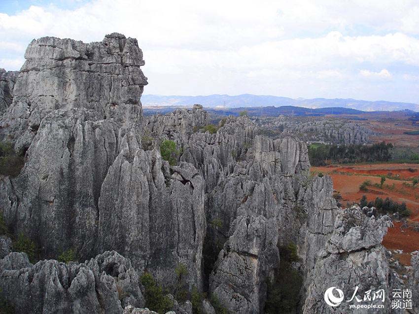 Fotógrafos estrangeiros capturam beleza da 