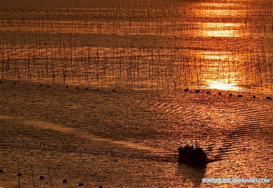 Linda paisagem ao pôr do sol de uma fazenda de alga marinha em Fujian