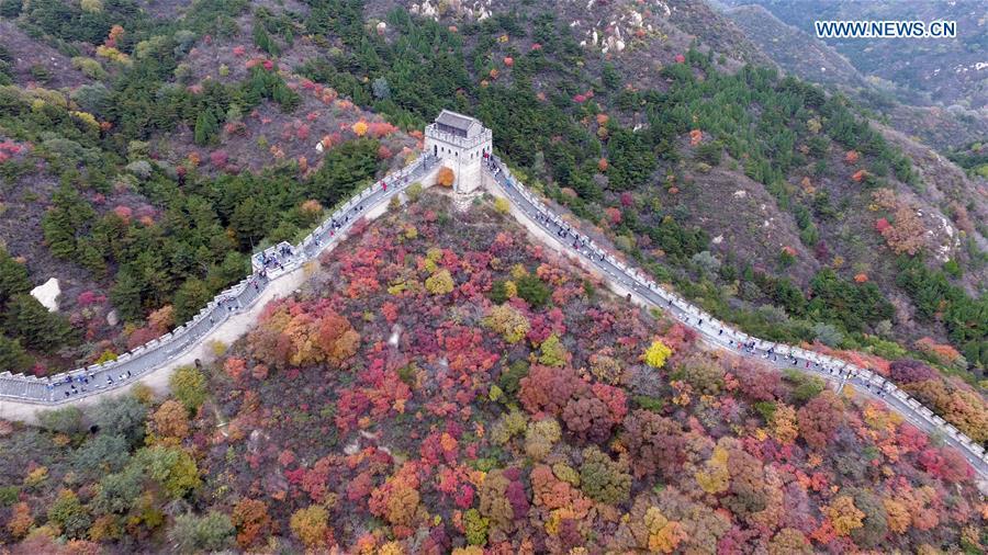 Galeria: as fotografias do ano capturadas por drones