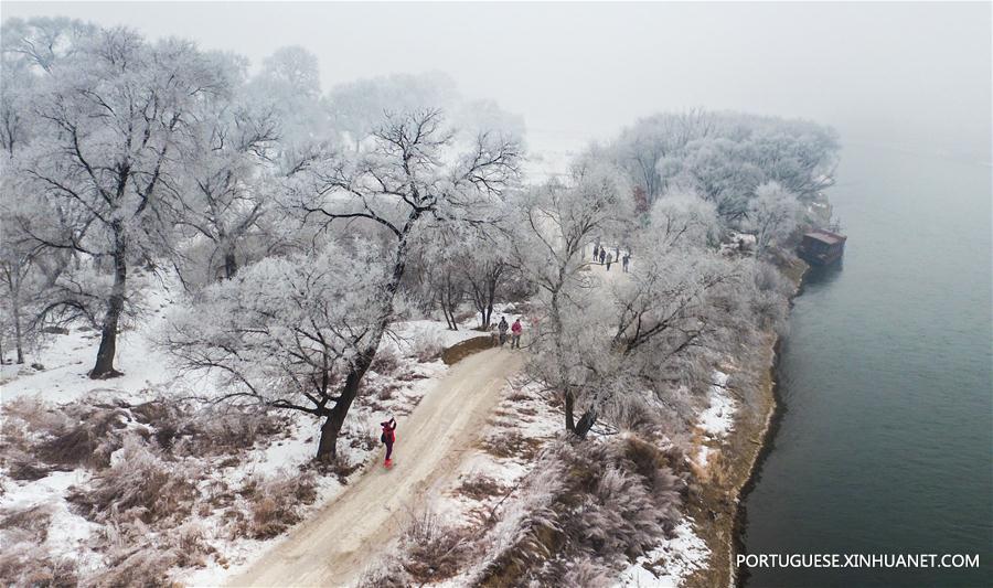 Paisagem de sincelo em Jilin no nordeste da China