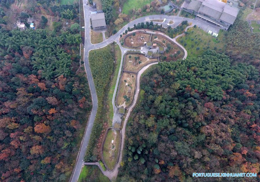 Casa de repouso para pandas idosos em Sichuan