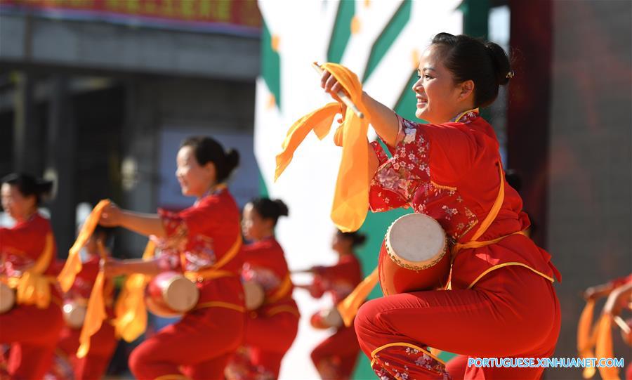 Celebração é realizada para colheita de laranjas kinkan em Guangxi