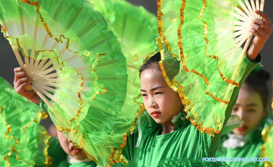 Celebração é realizada para colheita de laranjas kinkan em Guangxi