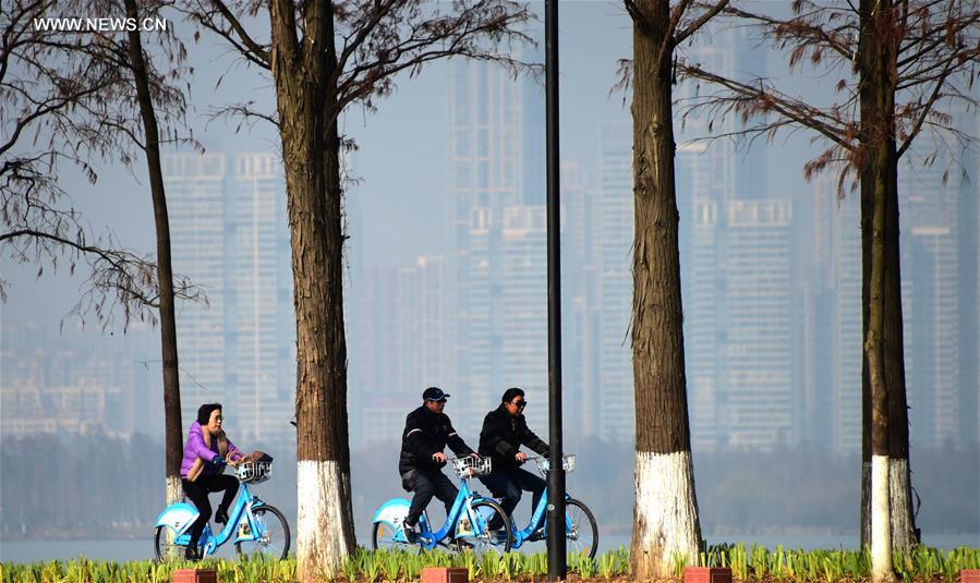 Caminhos verdes atravessam o Lago Donghu no centro da China