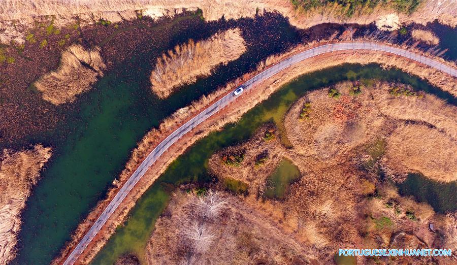 Cenário da zona úmida em um parque na província de Shandong