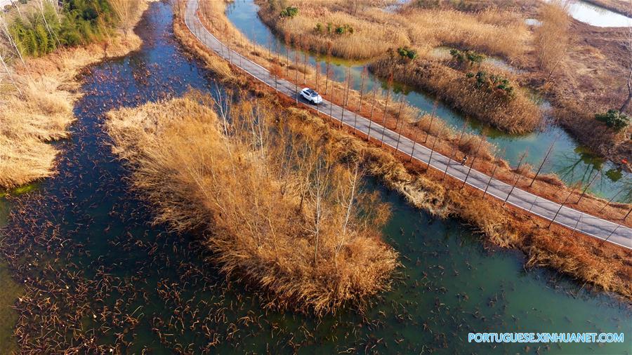Cenário da zona úmida em um parque na província de Shandong