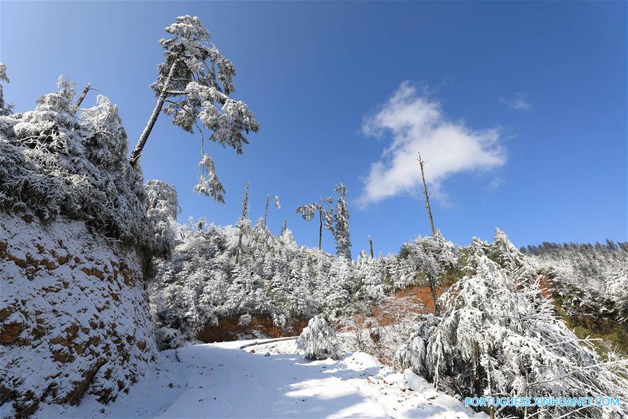 Paisagem coberta de neve no Parque Florestal Nacional de Longcanggou no sudoeste da China