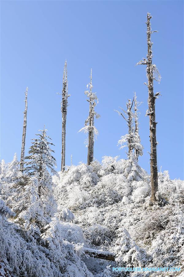 Paisagem coberta de neve no Parque Florestal Nacional de Longcanggou no sudoeste da China