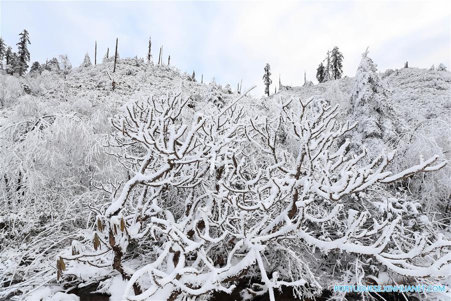 Paisagem coberta de neve no Parque Florestal Nacional de Longcanggou no sudoeste da China