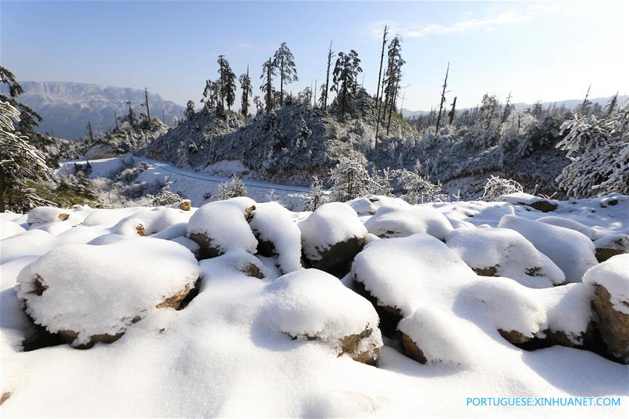 Paisagem coberta de neve no Parque Florestal Nacional de Longcanggou no sudoeste da China