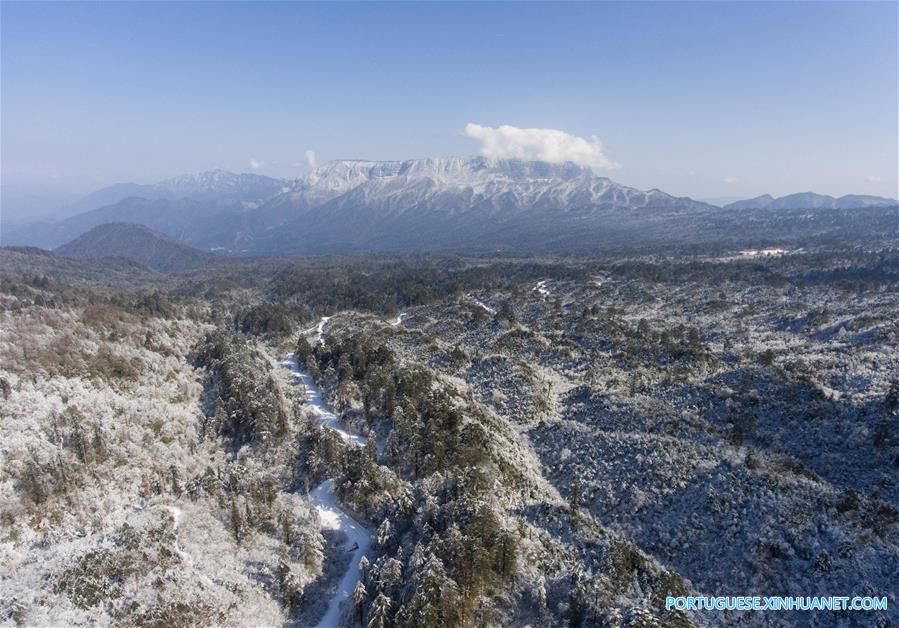 Paisagem coberta de neve no Parque Florestal Nacional de Longcanggou no sudoeste da China