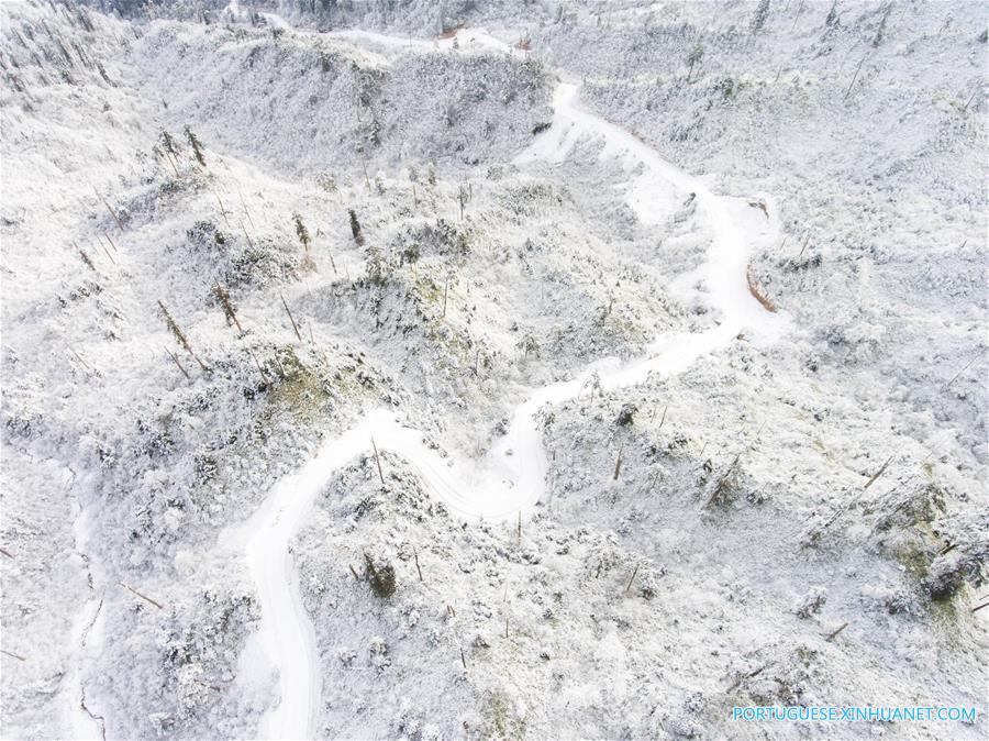 Paisagem coberta de neve no Parque Florestal Nacional de Longcanggou no sudoeste da China