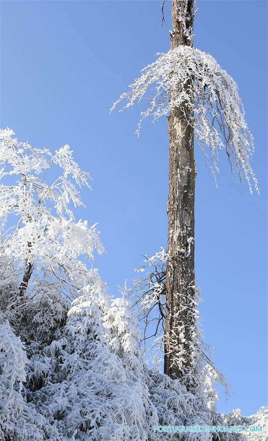 Paisagem coberta de neve no Parque Florestal Nacional de Longcanggou no sudoeste da China