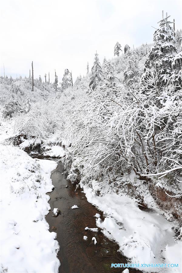 Paisagem coberta de neve no Parque Florestal Nacional de Longcanggou no sudoeste da China