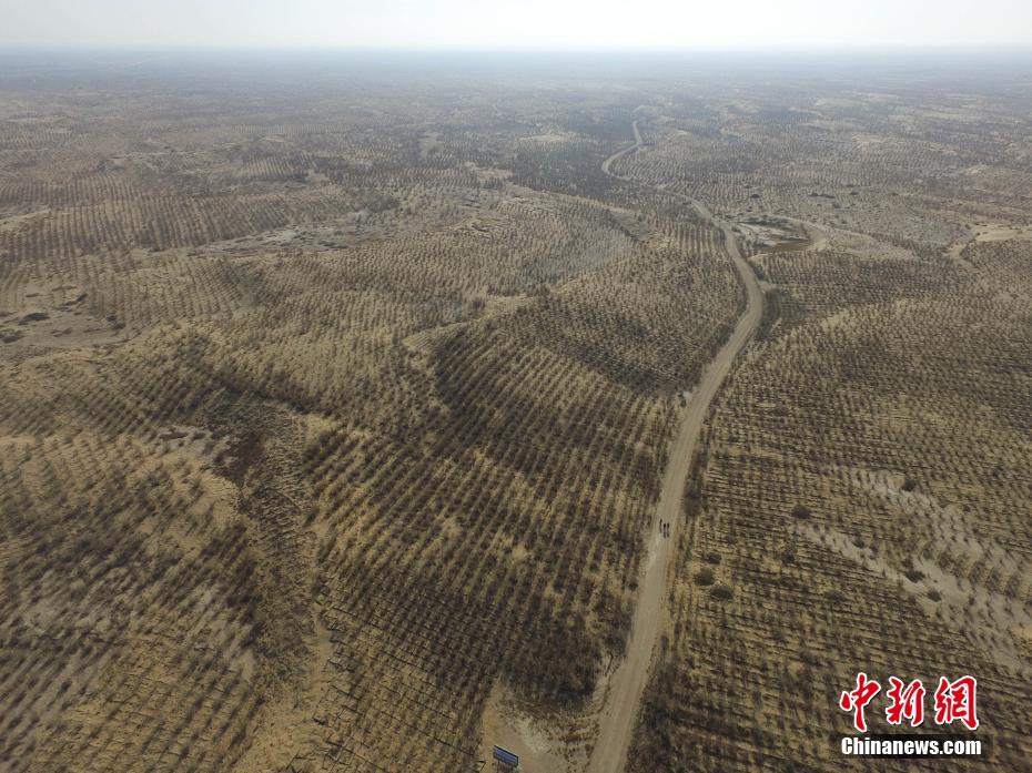 Galeria: Minqin, o berço das tempestades de areia da China