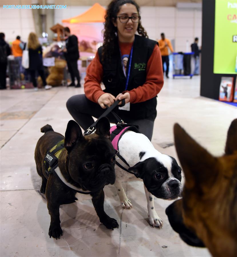 Salão de Animais de Estimação 2017 é realizado em Lisboa