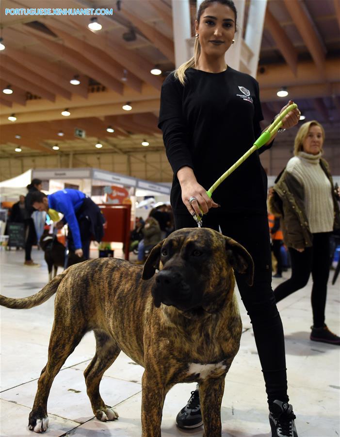 Salão de Animais de Estimação 2017 é realizado em Lisboa