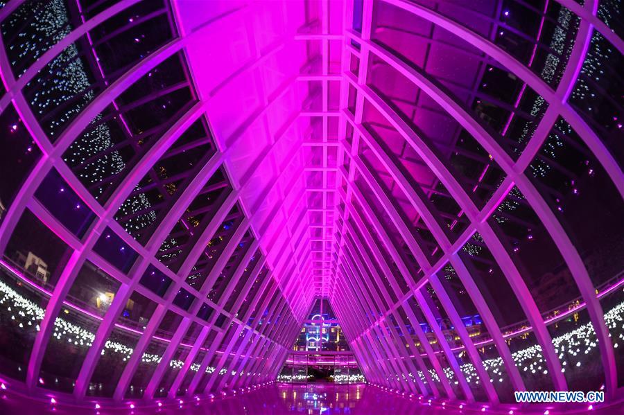 Cenário noturno do Parque dos Girassóis em Guangzhou