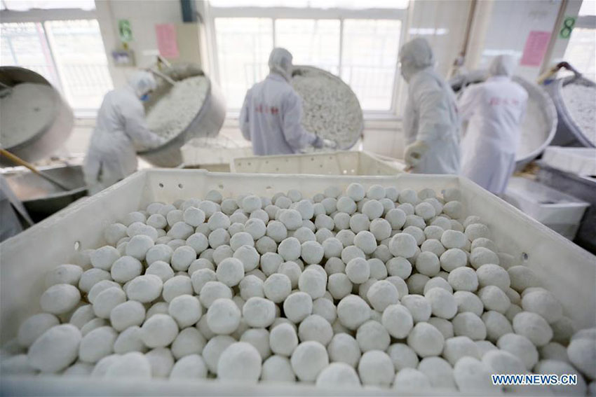 Bolinhos de arroz glutinoso confecionados para celebrar o Festival das Lanternas