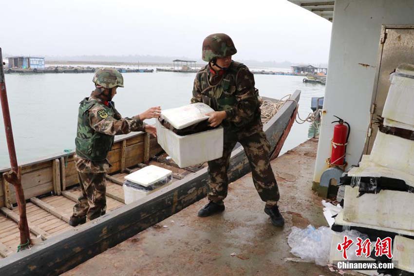 Polícia marítima de Guangxi apreende 1.609 exemplares de pele de crocodilo