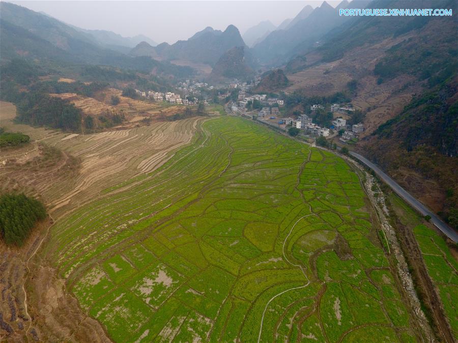 Imagens da primavera em Shuangfu, no sul da China