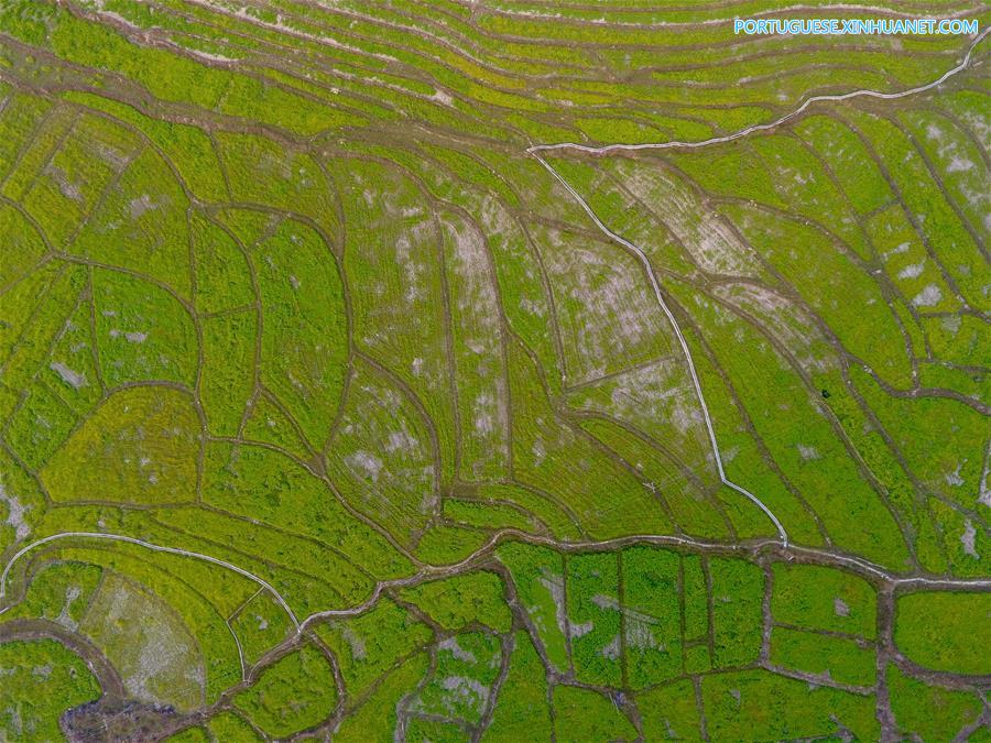 Imagens da primavera em Shuangfu, no sul da China