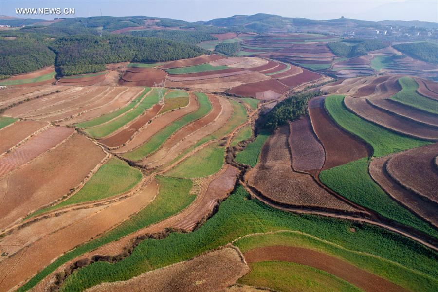 Panorama dos terraços de solo vermelho no sudoeste da China