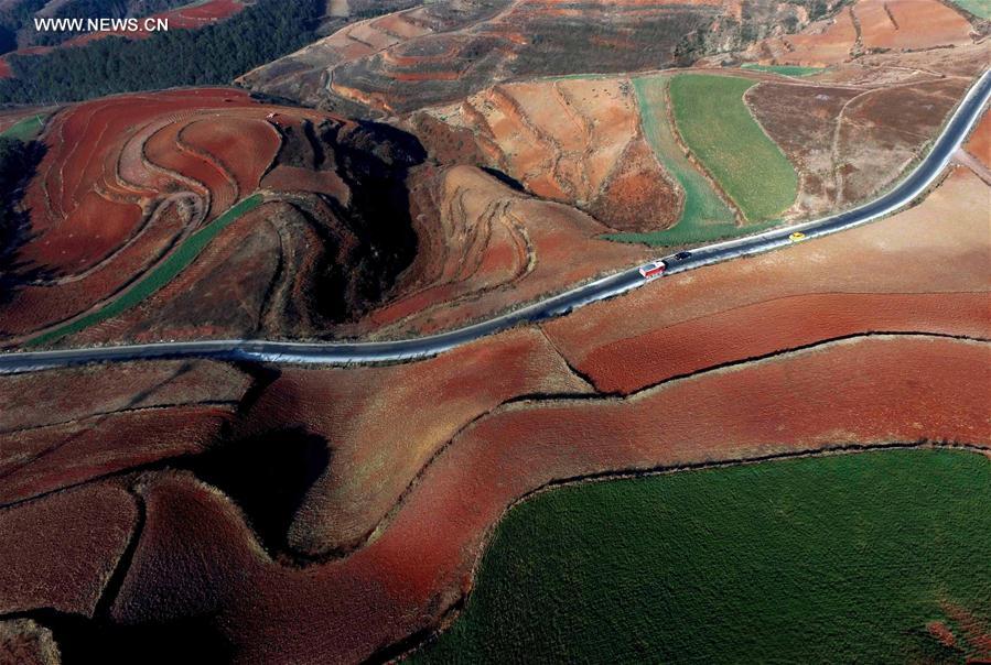 Panorama dos terraços de solo vermelho no sudoeste da China