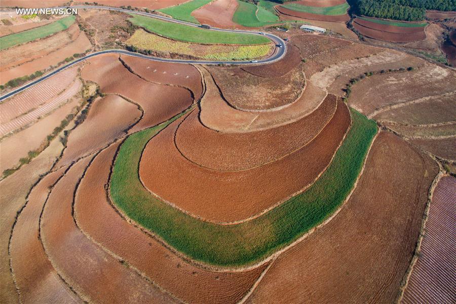 Panorama dos terraços de solo vermelho no sudoeste da China