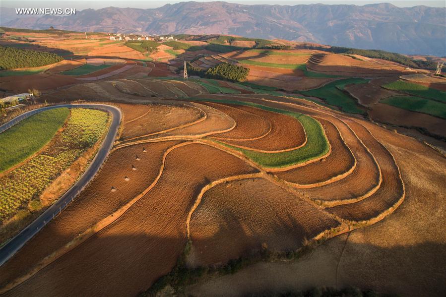 Panorama dos terraços de solo vermelho no sudoeste da China