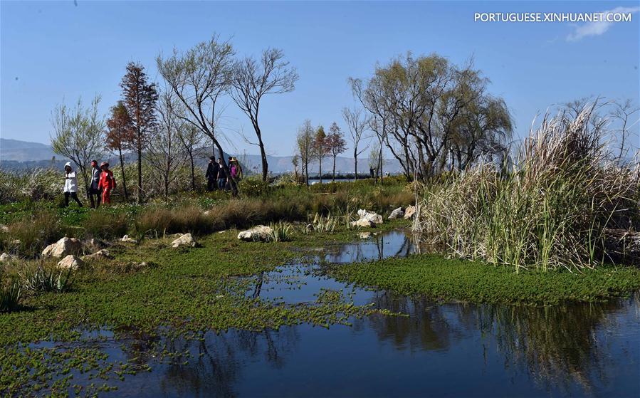 Turistam visitam parque de pantanal na área turística do Lago Dianchi em Kunming