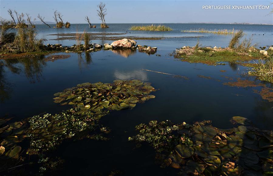 Turistam visitam parque de pantanal na área turística do Lago Dianchi em Kunming