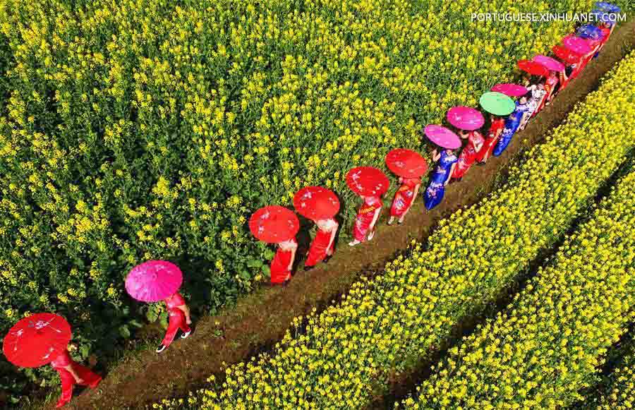 Imagens da primavera ao redor da China