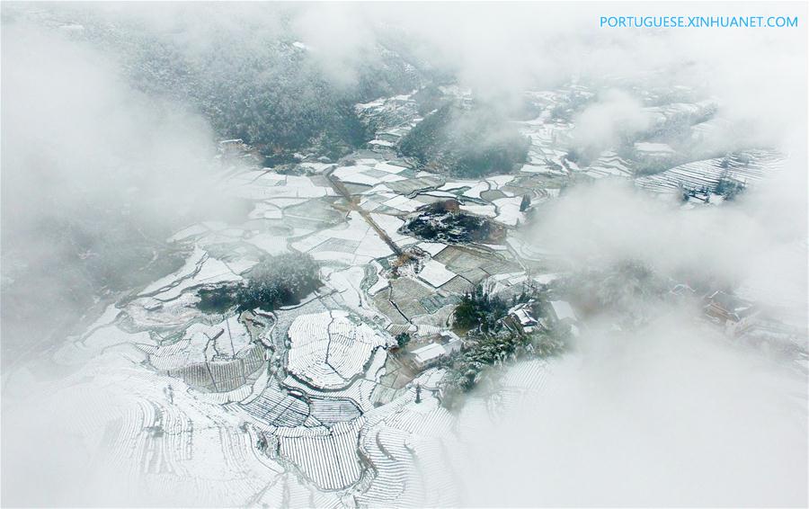 Em imagens: jardim de chá em Hubei coberto pela neve
