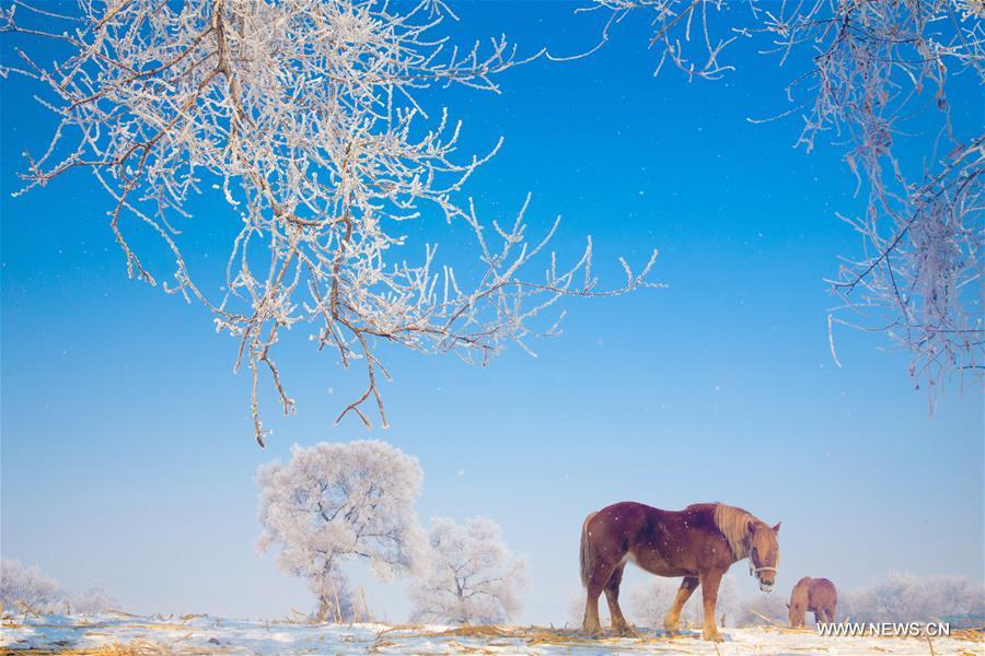 Galeria: Paisagem gelada em Jilin