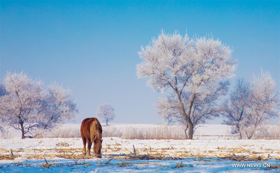 Galeria: Paisagem gelada em Jilin