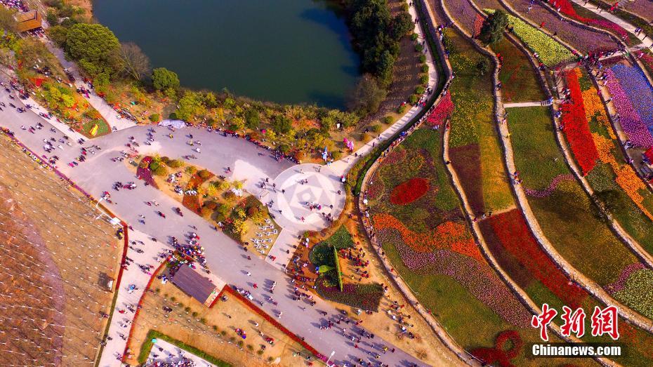 Mar de tulipas no jardim botânico de Jiangxi